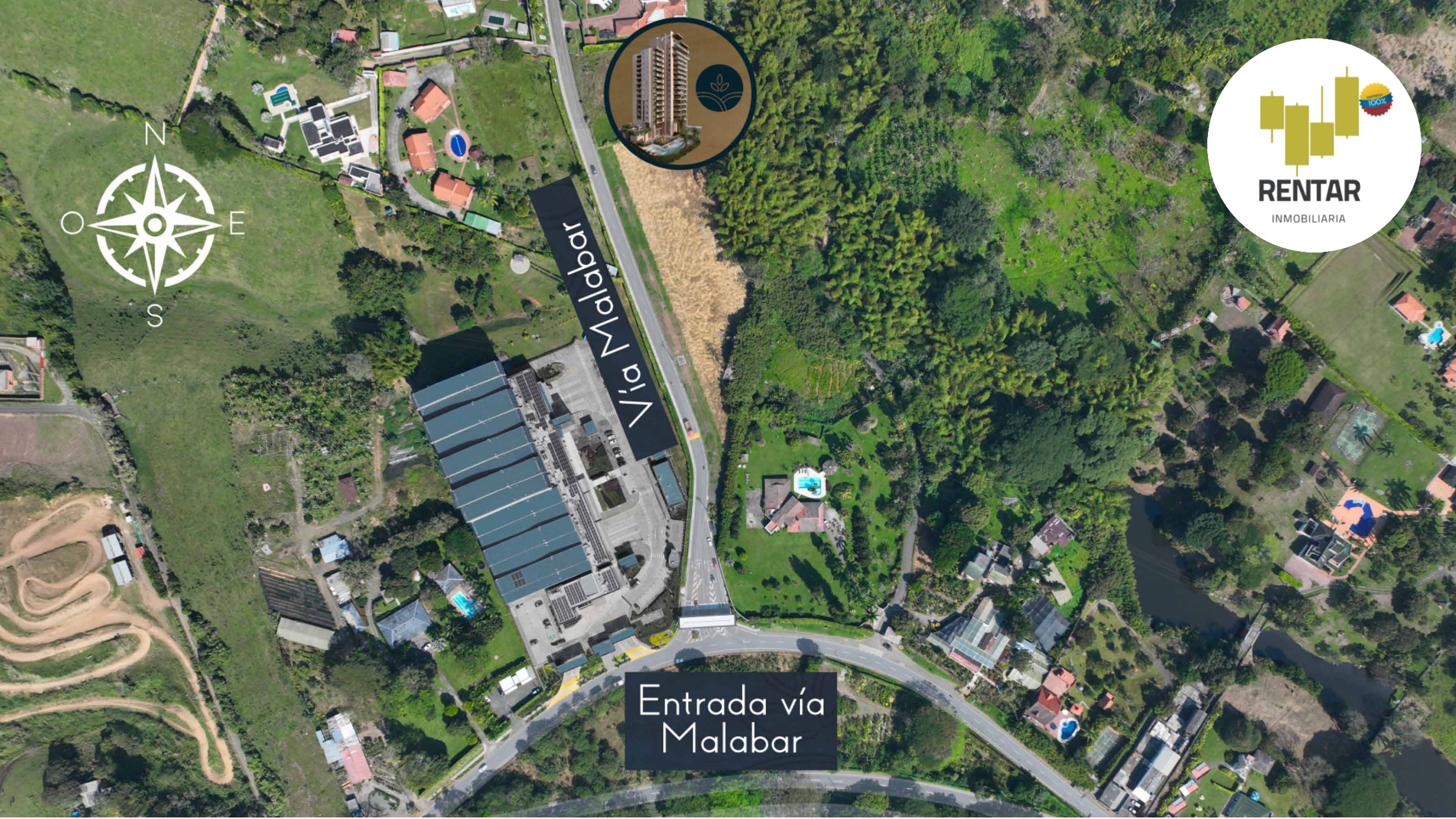Arvore Malabar